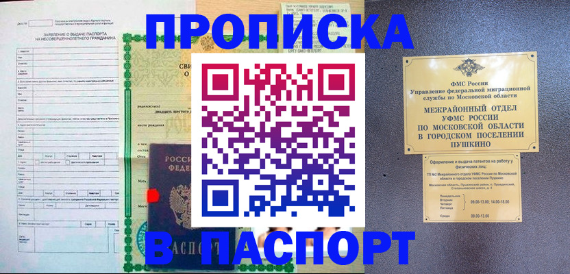 временная регистрация госуслуги в Опочке